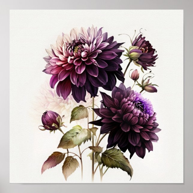 Affiche d'art floral Dahlias violets (Devant)