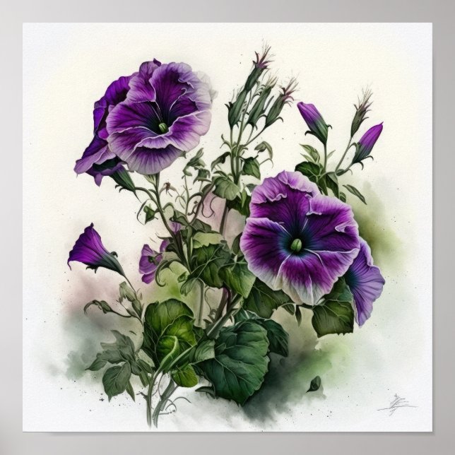Affiche d'art floral de pétunias violets (Devant)