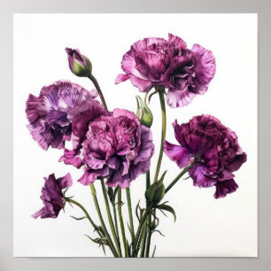 Affiche d'art floral d'œillets violets