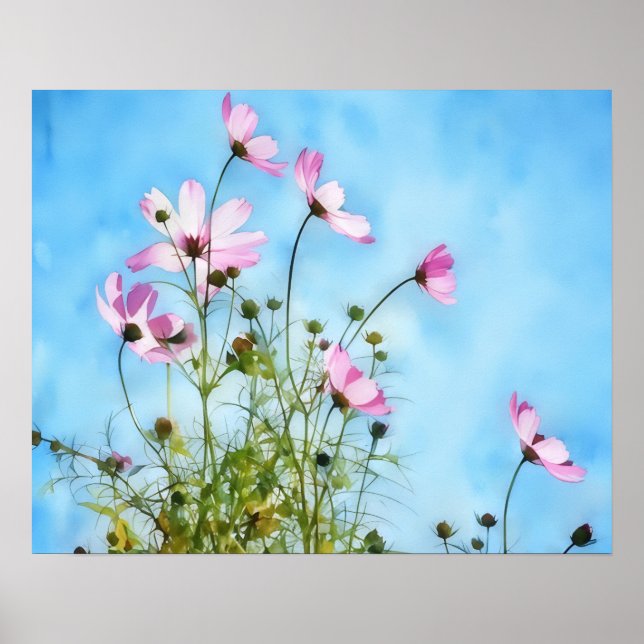 Affiche d'art floral Fleurs de Cosmos roses (Devant)