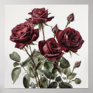 Affiche d'art floral Roses Marron
