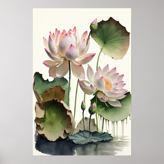 Affiche d'art impression de fleurs de lotus blanc (Devant)