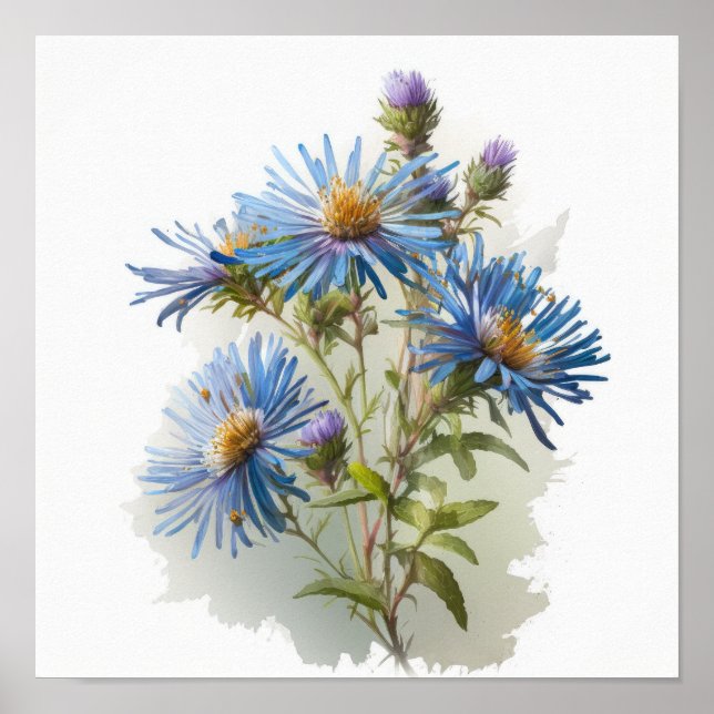 Affiche d'art imprimé de fleur d'aster bleu (Devant)