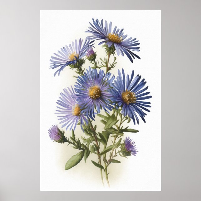 Affiche d'art imprimé de fleur d'aster bleu (Devant)