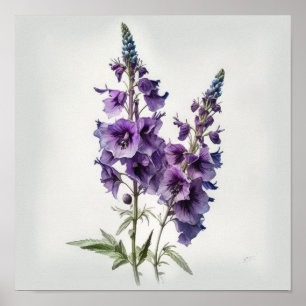 Affiche d'art imprimé de fleur de Delphinium Viole