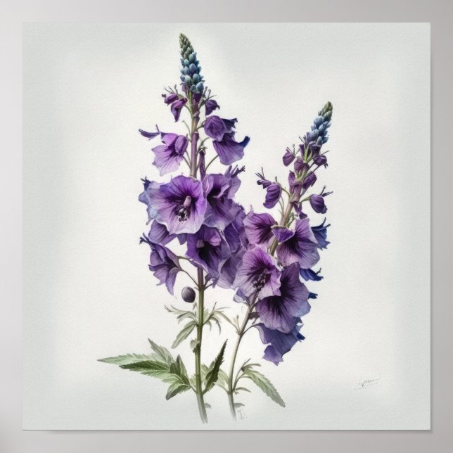 Affiche d'art imprimé de fleur de Delphinium Viole (Devant)