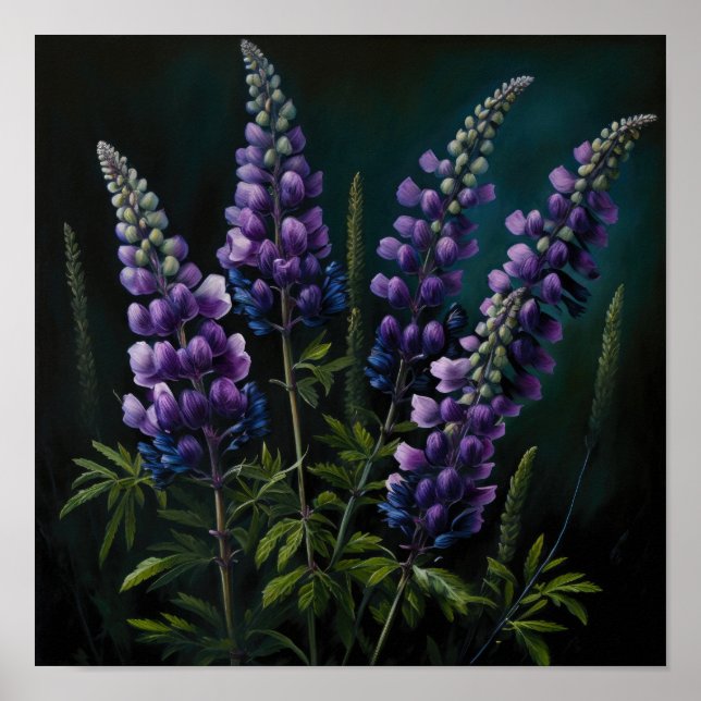 Affiche d'art imprimé de fleur de lupin pourpre (Devant)