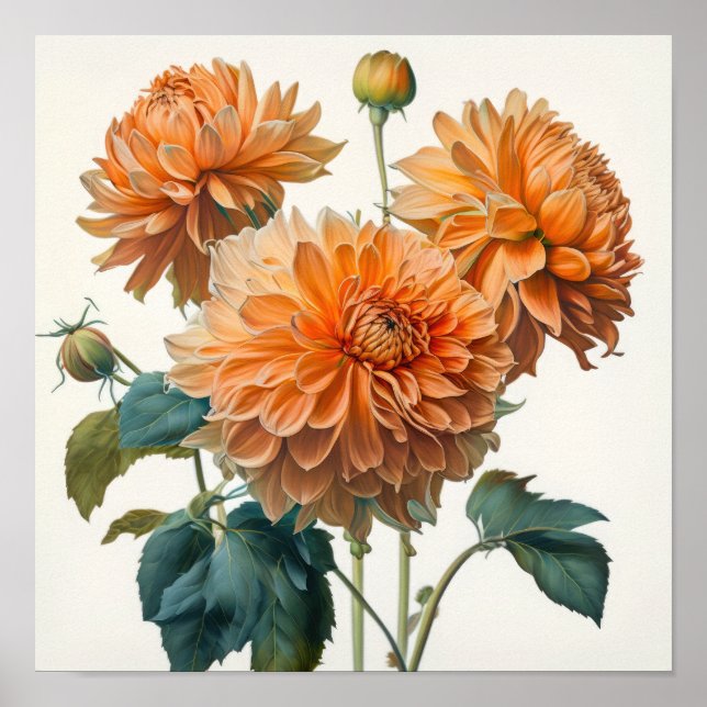 Affiche d'art imprimé de fleurs de dahlias orange (Devant)