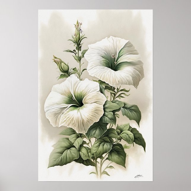 Affiche d'art imprimé de pétunias blancs (Devant)