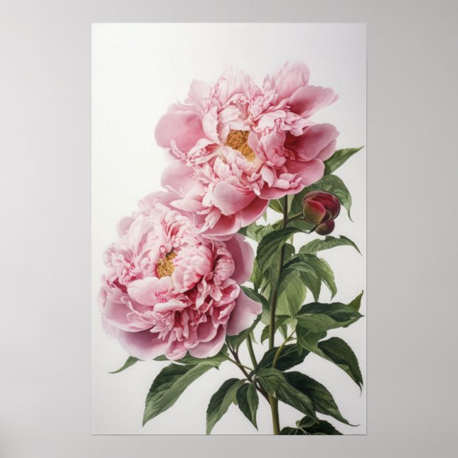 Affiche d'art imprimé de pivoines roses (Devant)