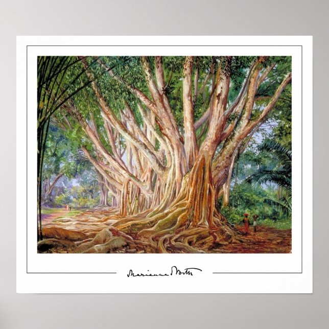 Affiche d'art Marianne North Zedign #5 (Devant)