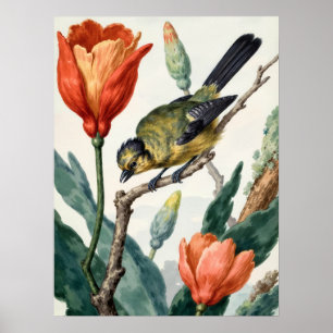 Affiche d'art mural floral botanique vintage oisea
