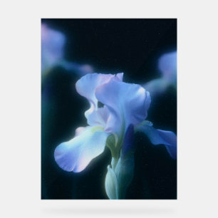 Affiche d'art mural floral Iris Bleu Rêveur