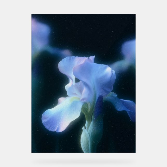Affiche d'art mural floral Iris Bleu Rêveur (Recto)