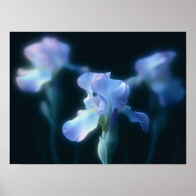Affiche d'art mural floral Iris Bleu Rêveur (Devant)
