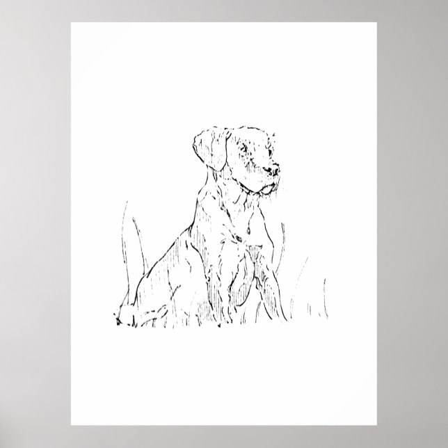 Affiche d'art mural Golden Retriever, Illustration (Devant)