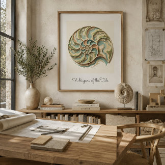 Affiche d'art mural moderne de coquille de nautile
