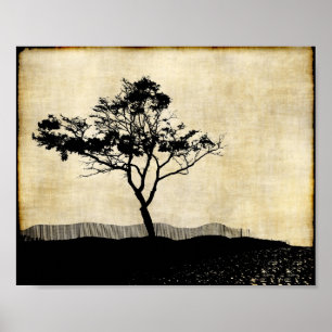 Affiche d'art photo de silhouette d'arbre