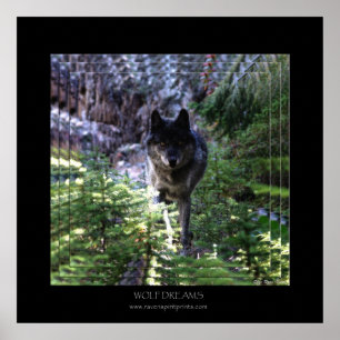 Affiche d'art WOLF RÊVES