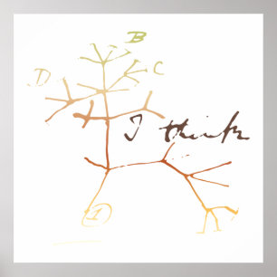 Affiche Darwin, je pense à l'arbre de vie