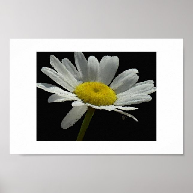 Affiche Dasiy (Devant)