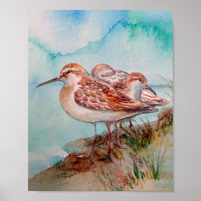 Affiche Daté, Aquarelle Sandpiper Shore Beach Oiseaux Art (Devant)