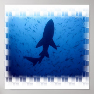 Affiche d'attaque de requin