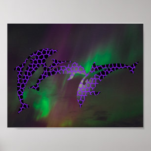 Affiche Dauphin Aurores Boréales Paysages Cieux