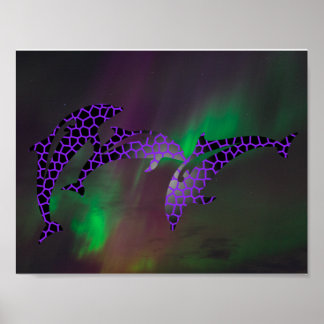 Affiche Dauphin Aurores Boréales Paysages Cieux