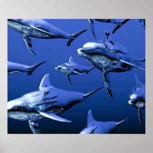 Affiche Dauphin bleu