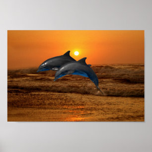 Affiche Dauphin de Bottlenose au coucher du soleil