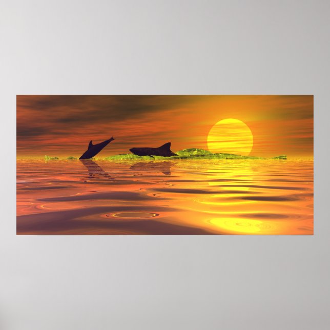 Affiche Dauphin de requin Le Jeu de la vie (Devant)