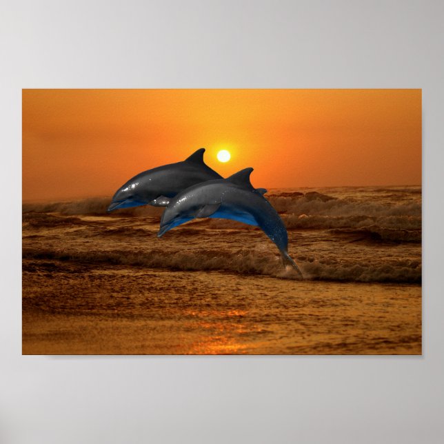 Affiche Dauphin de verdure au coucher du soleil (Devant)