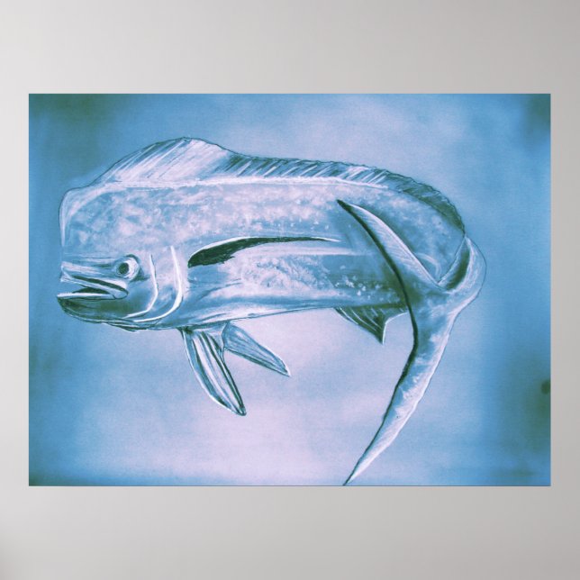 Affiche Dauphin en mouvement (Devant)