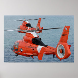 Affiche Dauphin HH-65