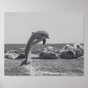Affiche Dauphin noir et blanc Tropical Printable Art