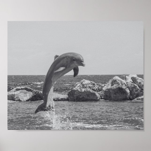 Affiche Dauphin noir et blanc Tropical Printable Art (Devant)