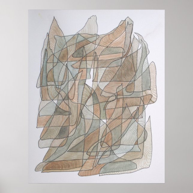 Affiche Dauphin volant (Devant)