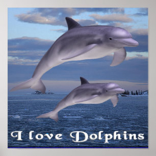 Affiche dauphins