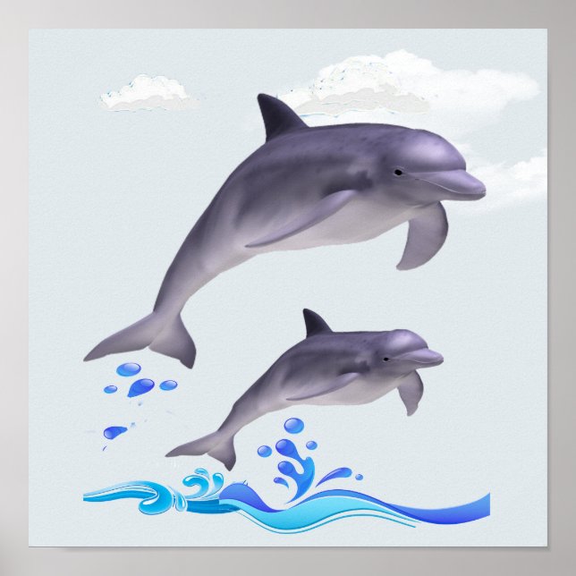 Affiche dauphins (Devant)