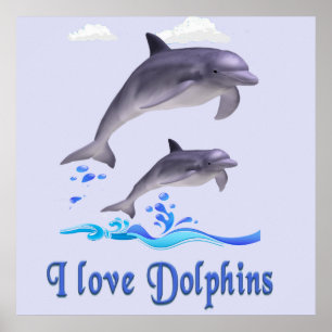 Affiche dauphins