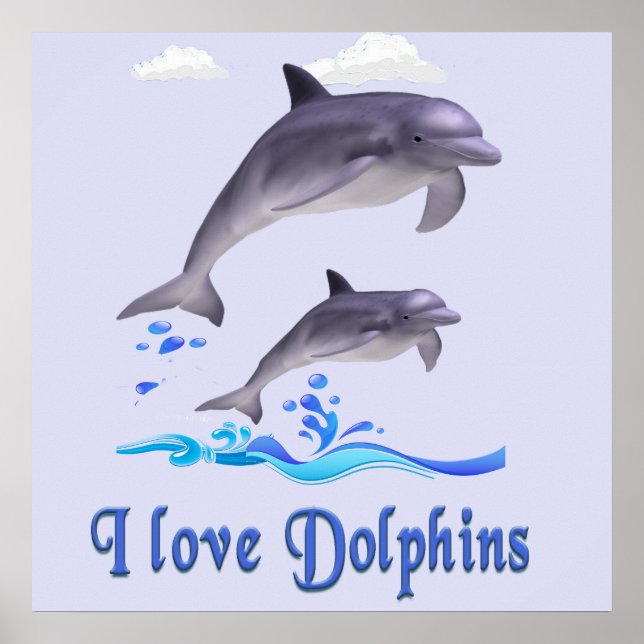 Affiche dauphins (Devant)