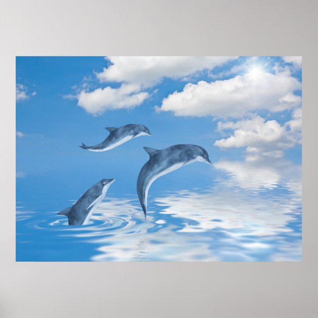 Affiche Dauphins (Devant)