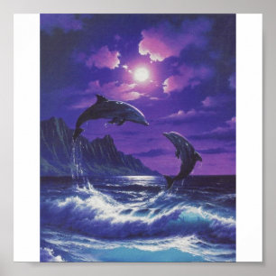 Affiche dauphins [1]