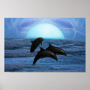 Affiche Dauphins au clair de lune