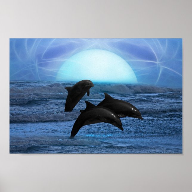 Affiche Dauphins au clair de lune (Devant)