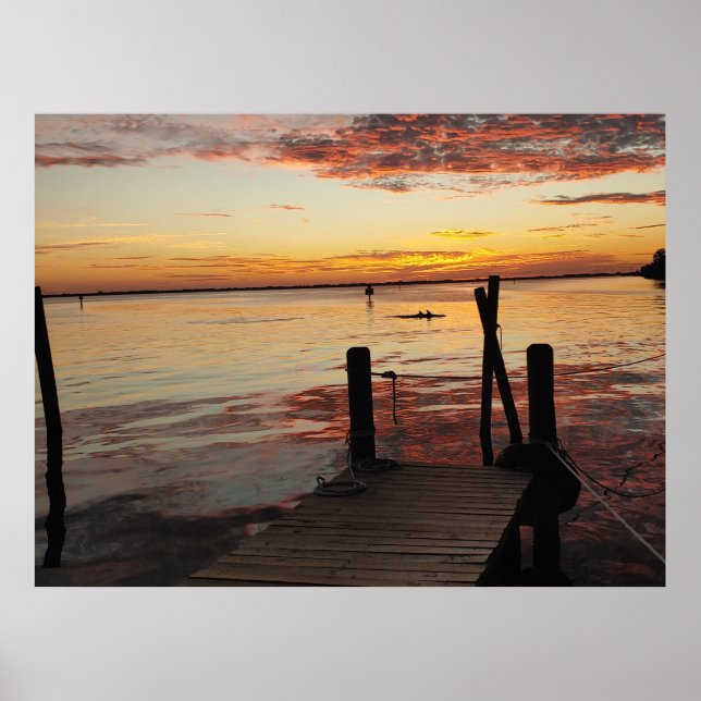 Affiche Dauphins du coucher du soleil (Devant)