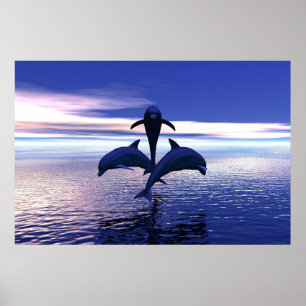 Affiche Dauphins du début du matin