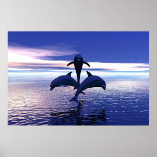 Affiche Dauphins du début du matin