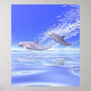 Affiche Dauphins en course